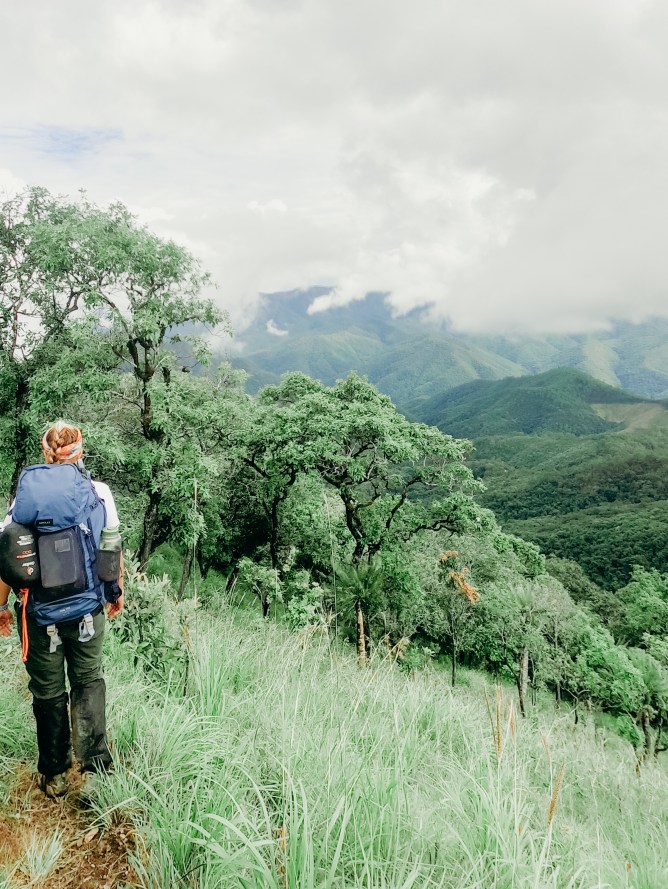 GPTempDownload 2.jpg